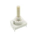 C&K RTAP31S12W25FS Enlarged Image