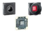 Basler dart Board Level Cameras