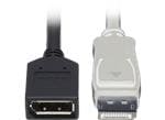 P579-006 4K DisplayPort Extension Cables