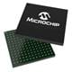 Microchip Technology PIC32MZ1064DAS169-I/6J