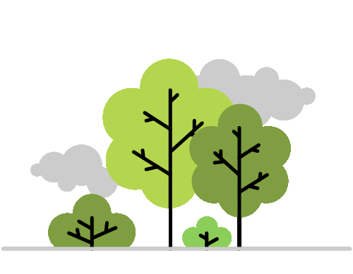 Trees catch fire and completely burn all the leaves off