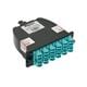 Panduit FC2XO-24-10B1