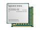 Quectel EG21GGBTEA-128-SGNS*IOT